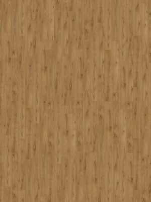wszyrms76t8bjmq5c2t2y8zob5wud8yw.jpg wszyrms76t8bjmq5c2t2y8zob5wud8yw.jpg