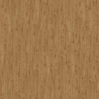 wszyrms76t8bjmq5c2t2y8zob5wud8yw.jpg