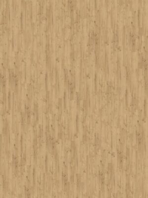 xaz5ta23mh5c74w1qm79lajo1xhbt0mw.jpg xaz5ta23mh5c74w1qm79lajo1xhbt0mw.jpg