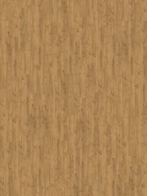 z7k3pheyc9o0piy4u5fmcset06ssiusc.jpg z7k3pheyc9o0piy4u5fmcset06ssiusc.jpg